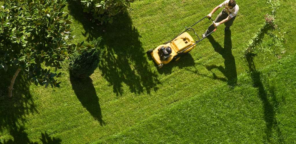 hot summer lawn care