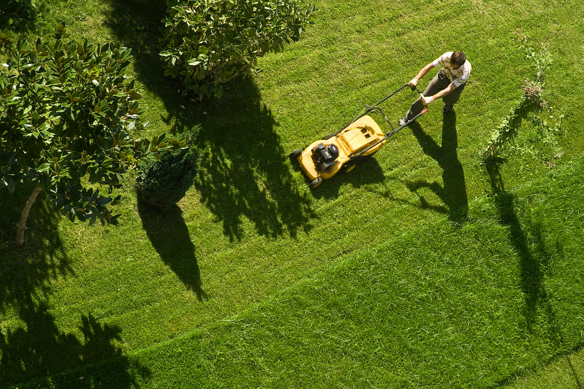 hot summer lawn care