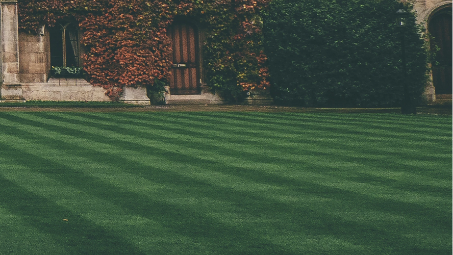 how to stripe your lawn