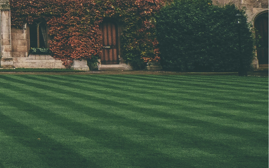 how to stripe your lawn