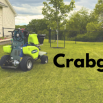 Untitled 1080 x 600 px 1080 x 500 px - Warren Lawn