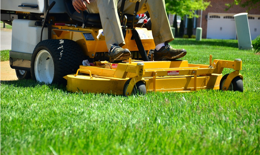 5 tips to think about before hiring a lawn service