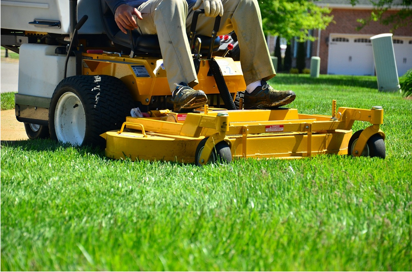 5 tips to think about before hiring a lawn service