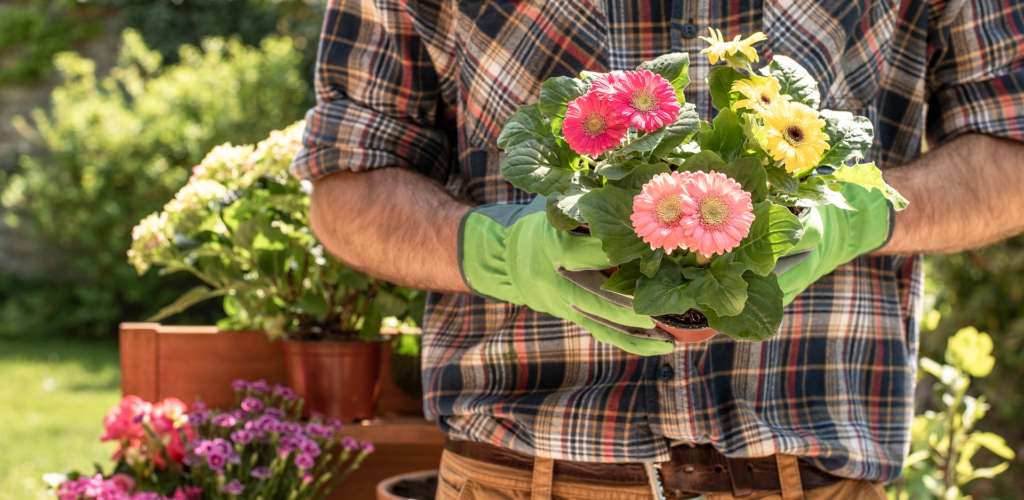 Spring lawn care tips