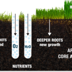 Fall aeration