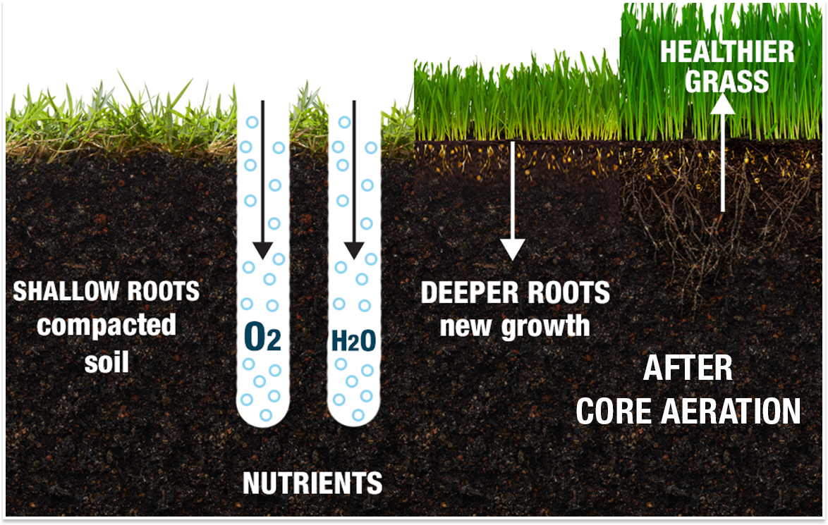 Fall aeration