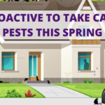 take care of pests this spring