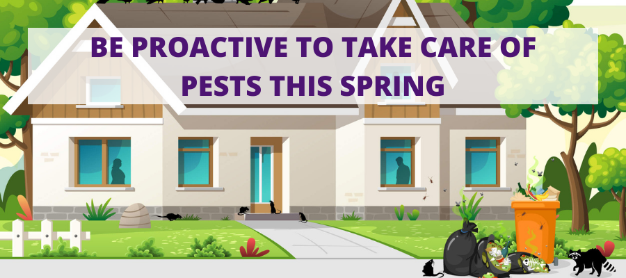 take care of pests this spring