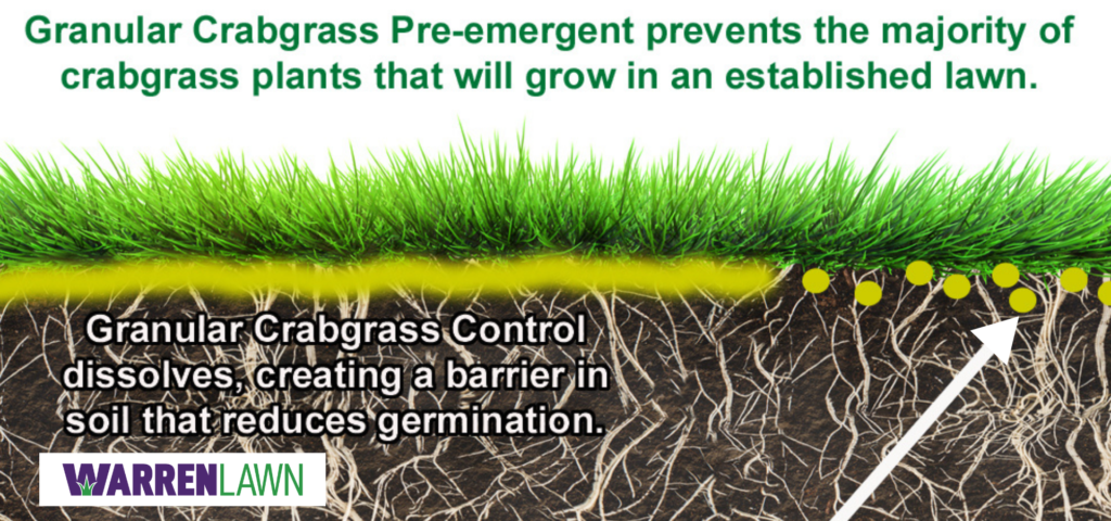 Granular crabgrass pre-emergent